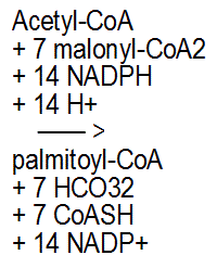 Acetyl-CoA + 7 malonyl-CoA2 + 14 NADPH + 14 H+ --> palmitoyl-CoA + 7 HCO32 + 7 CoASH + 14 NADP+