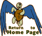 return to flying turtle home page
