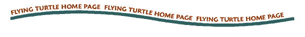 Return to Flying Turtle Home Page