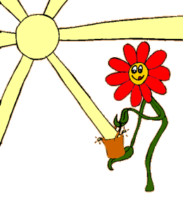 plant catching sunlight