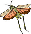 Grasshopper using stored solar energy to fly