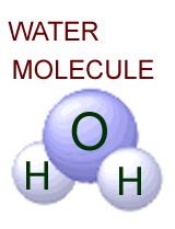 A water molecule with one oxygen and two hydrogen atoms